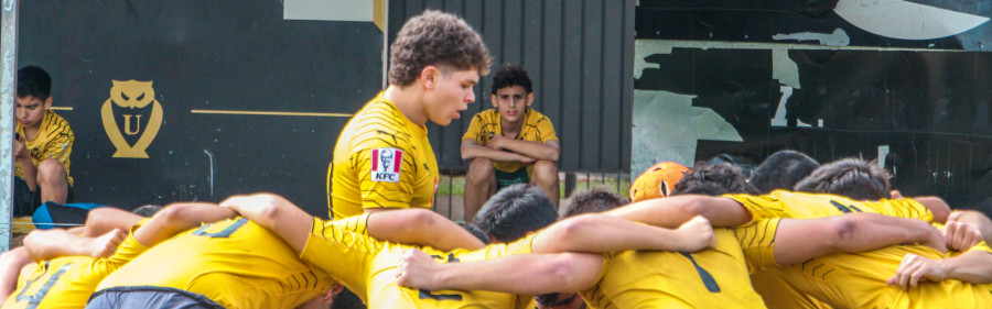 carim-deangelo-cibils-daher